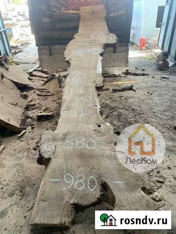 Слэб карагача / слэбы из дерева Мытищи - изображение 1