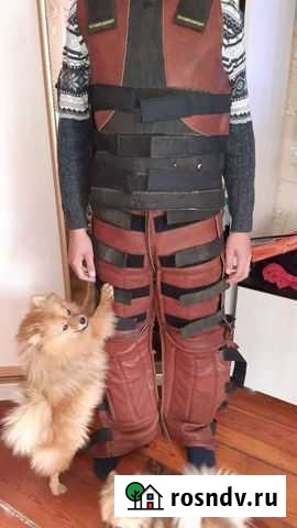 Костюм для дрессировки собак Бисерть - изображение 1