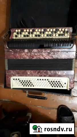 Баян Этюд Саратов - изображение 1