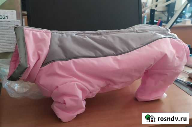 Комбинезон для собаки Киров - изображение 1