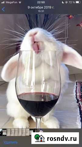 Клетка для шиншиллы Рыльск - изображение 1