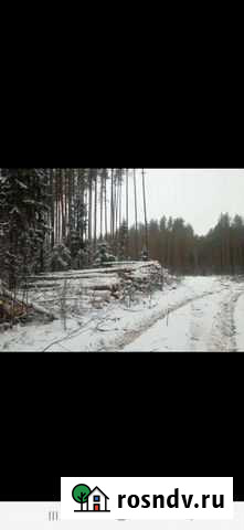 Продам лес кругляк пиловочник Сусанино - изображение 1