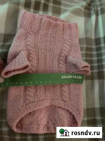 Одежда для собак Петрозаводск - изображение 1