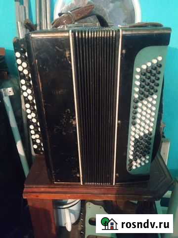 Баян Кулунда - изображение 1