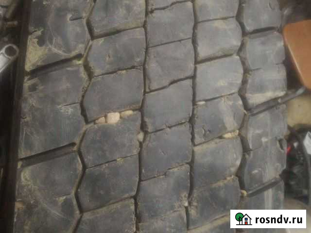 КАМА 295/80 R22.5 Хохряки - изображение 1