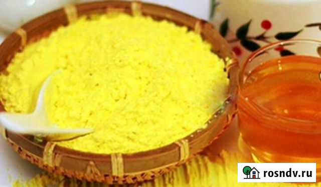 Пыльца сосны для имунной системы Симоненко - изображение 1