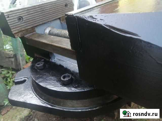 Тиски Энгельс - изображение 1