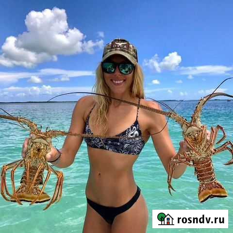 Морская Рыбалочка Сочи - изображение 1