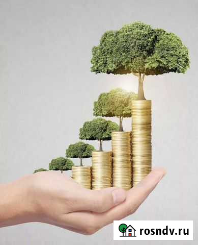 Управление брокерским счетом Курган - изображение 1