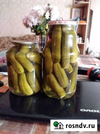 Огурцы маринованые Псков - изображение 1