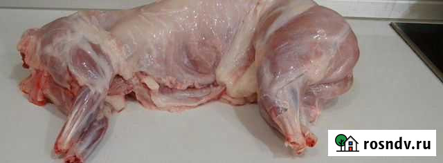 Продам мясо кролика Канск - изображение 1