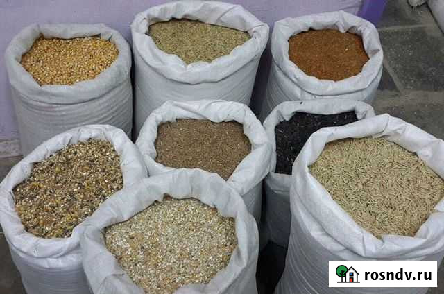 Корм для индюшат Астрахань - изображение 1