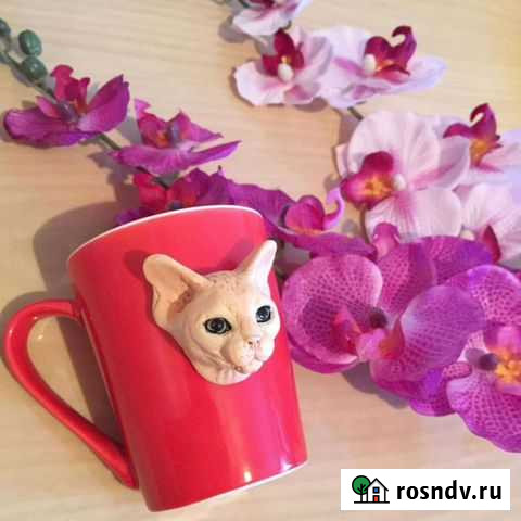 Кружка Со Сфинксом Комсомольск-на-Амуре - изображение 1