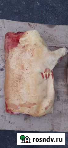 Мясо Курск - изображение 1