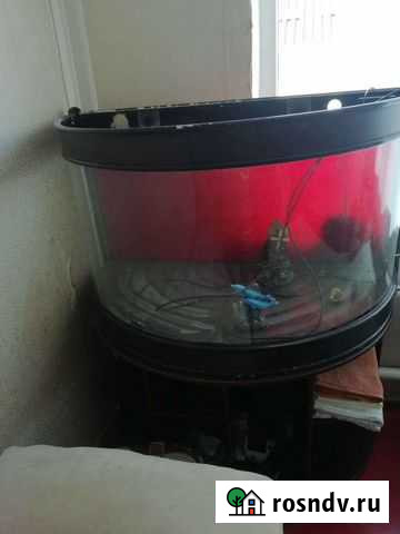 Аквариум Псыж - изображение 1