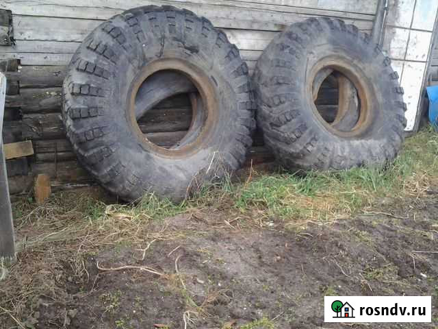 Продам резину Урагановская Шимановск - изображение 1