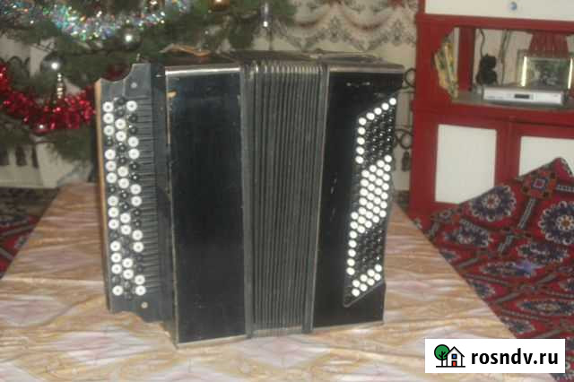 Баян Ростов-на-Дону - изображение 1