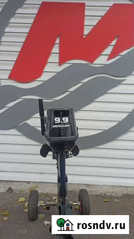 Мотор Меркурий 9,9 Light Омск - изображение 1