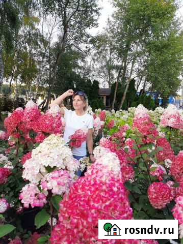 Ландшафный дизайн. Проект сада, можно по зонам Брянск - изображение 1