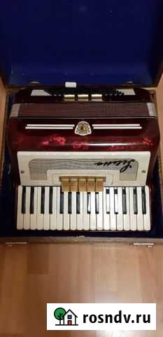 Аккордеон Санкт-Петербург - изображение 1