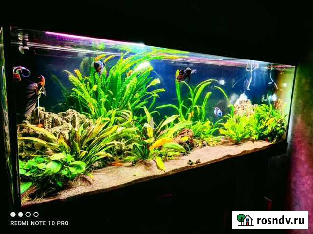 Аквариум Курск - изображение 1