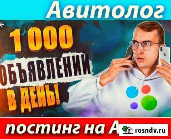 Авитолог + второй месяц В подарок Краснодар