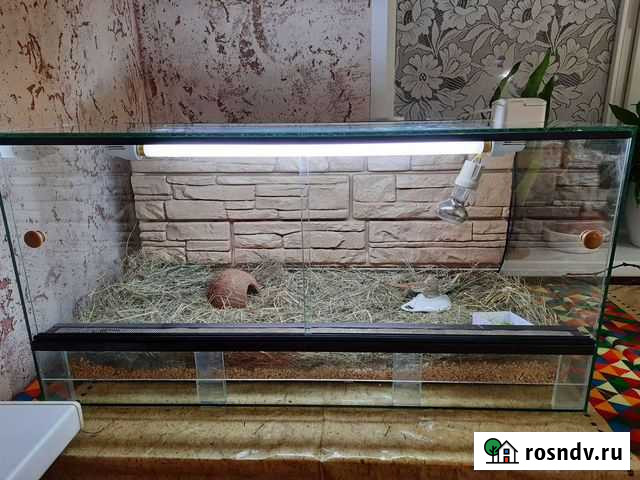 Террариум горизонтальный Липецк - изображение 1