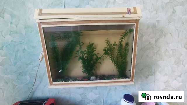 Аквариум Ростов-на-Дону - изображение 1