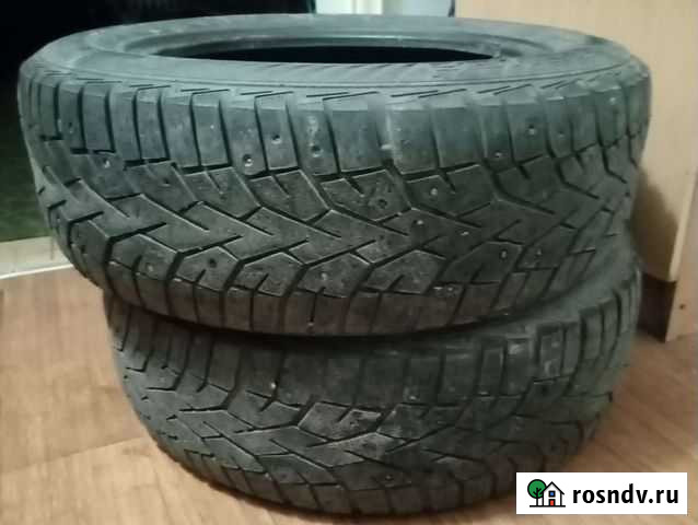 Шина Курган - изображение 1