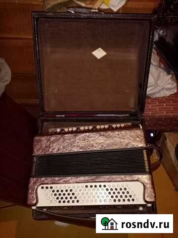 Баян Ванино - изображение 1