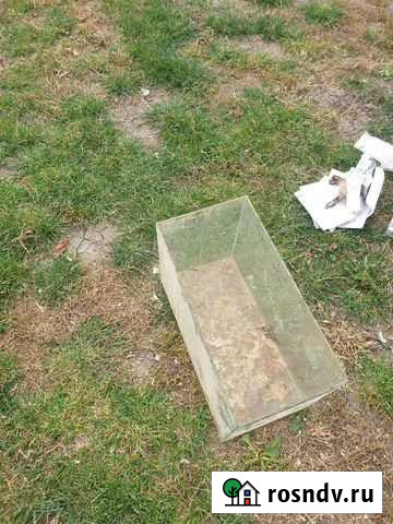 Аквариум Ейск - изображение 1