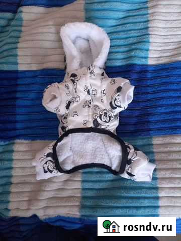 Продам комбинезон для маленькой собачки Благовещенск - изображение 1