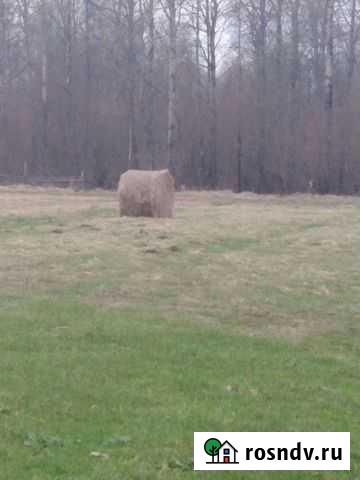 Продам сено в рулонах Спас-Деменск - изображение 1