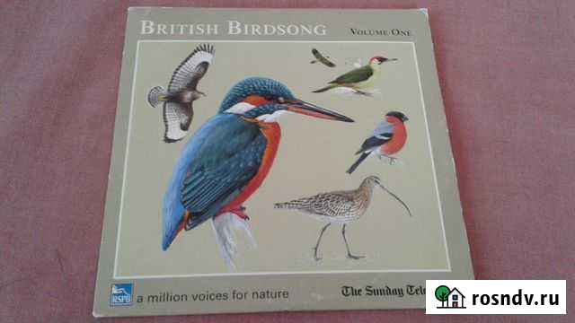 Диски для прослушивания и медитации Севастополь - изображение 1