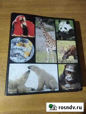 Энциклопедия животного мира Слободской - изображение 1