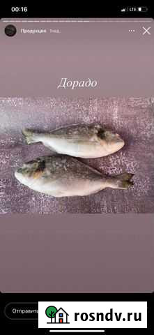 Дорадо Дмитров - изображение 1