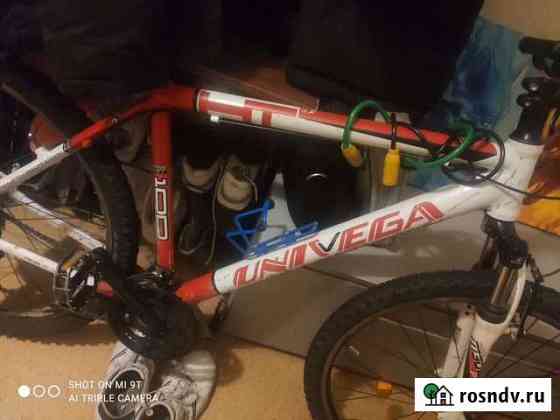 Univega TH 100 Хабаровск