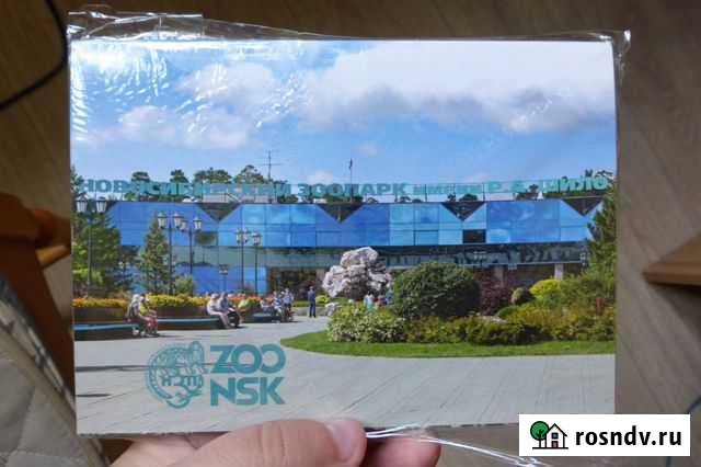 Набор открыток новосибирский зоопарк Новосибирск - изображение 1