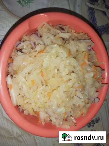 Капуста квашенная Смоленск - изображение 1