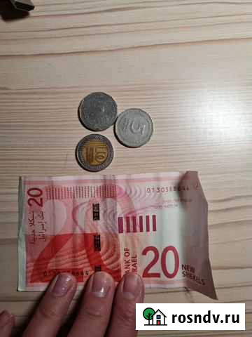 Шекели Пермь - изображение 1