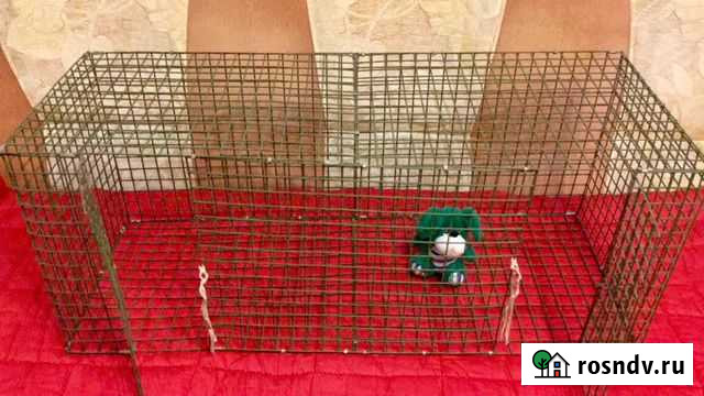 Клетка для животных, птиц, грызунов / Вольер Йошкар-Ола - изображение 1