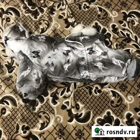 Комбинезон для собачки Киржач - изображение 1