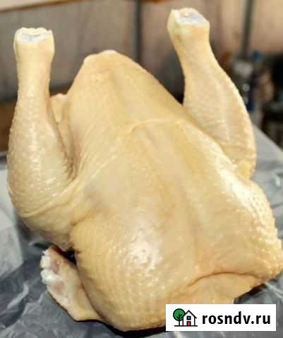 Тушка бройлер и индейка Свень - изображение 1