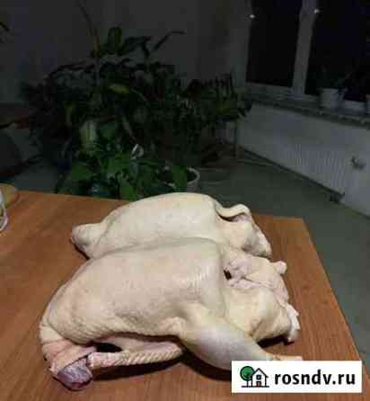 Продам мясо утки Дмитров