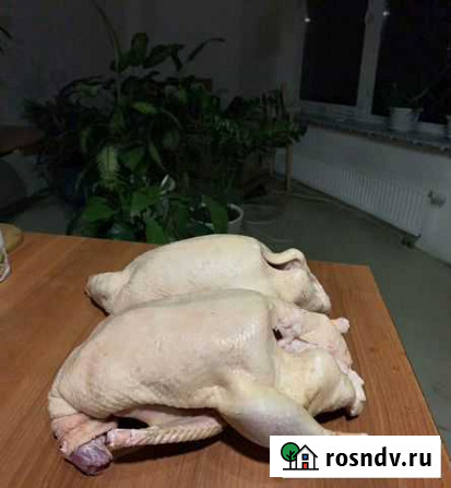 Продам мясо утки Дмитров - изображение 1
