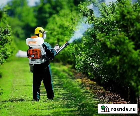 Опрыскивание от вредителей. Стрижка газона. Спил д Махачкала - изображение 1