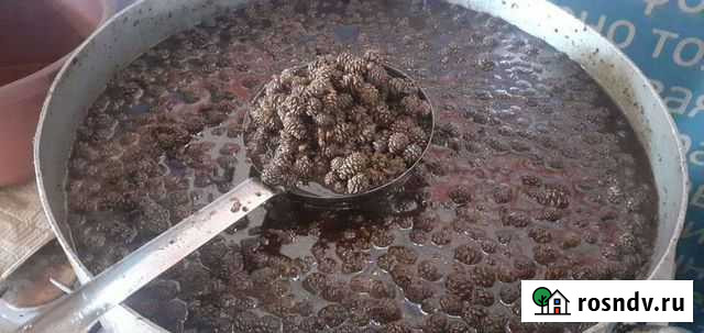 Варенье из сосновых шишек Томск - изображение 1