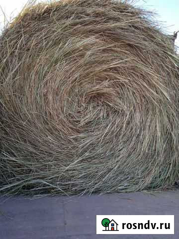 Сено в рулонах с доставкой Садовое - изображение 1