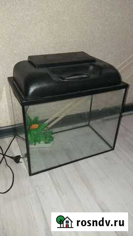 Аквариум Старый Оскол - изображение 1