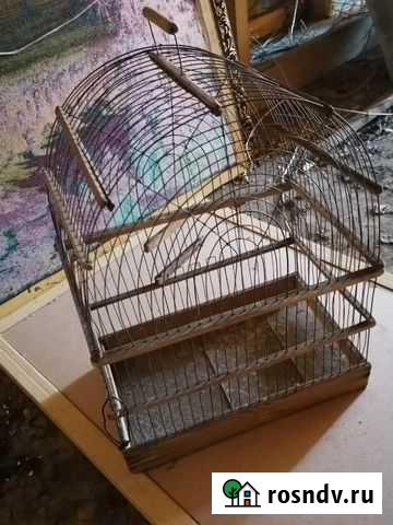 Клетка Курган - изображение 1